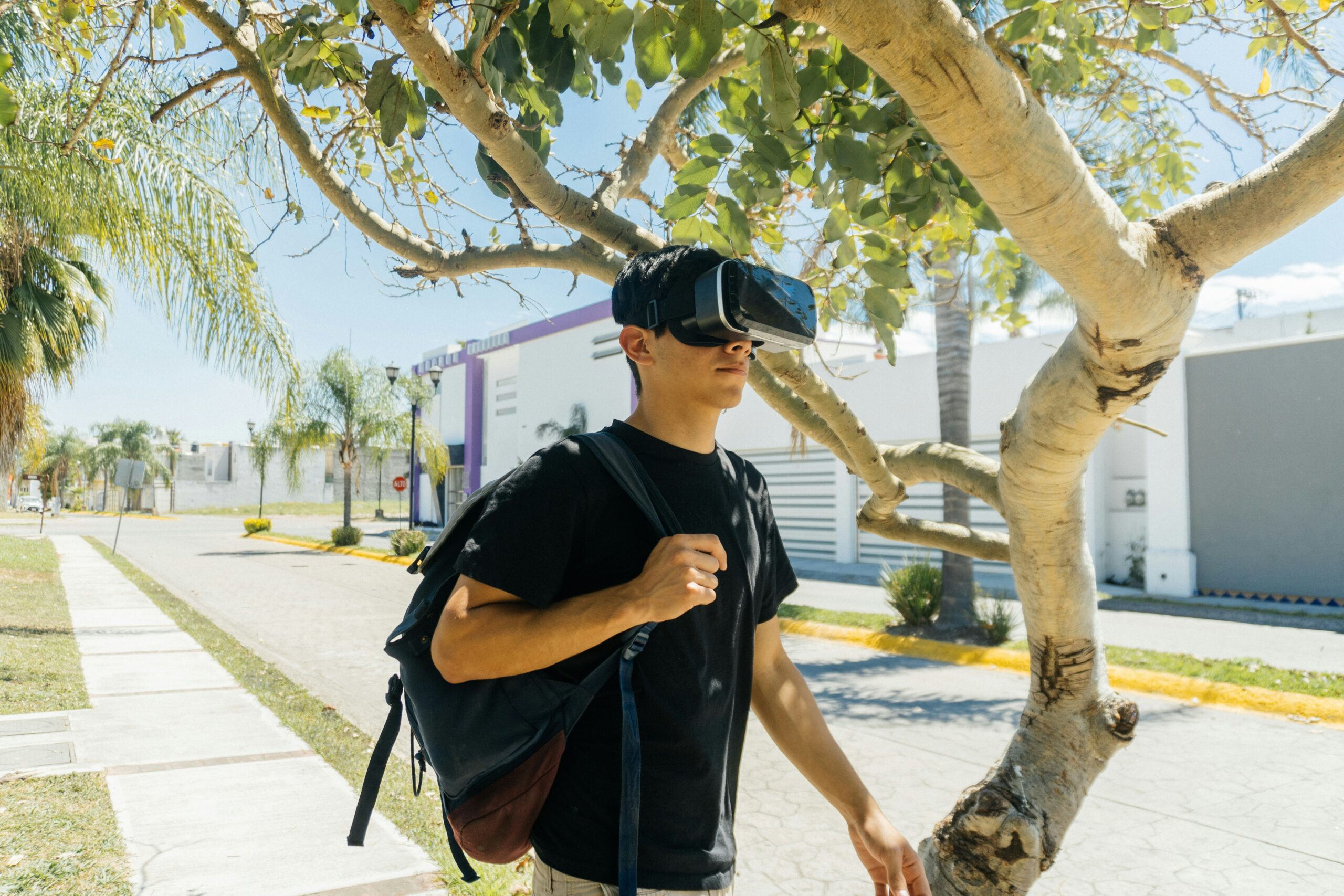 Virtual Reality
